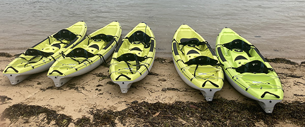 Matériel Avel pad kayaks jaunes 