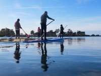 Paddle 2016