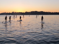 Paddle 2016