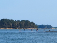 Paddle 2016