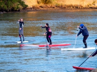 Paddle golfe du morbihan