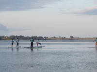 paddle-2014_17