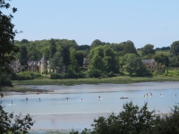 paddle-2014_19