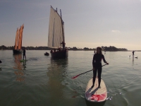 paddle-2014_1