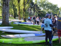 paddle-2014_3