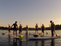 paddle-2014_4