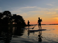 paddle-2014_9