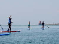 Paddle 2016
