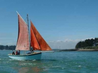 Stand Up Paddle - Golfe du Morbihan (56) - AVEL PAD_1