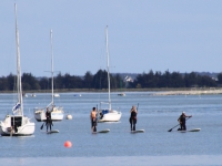 Stand up paddle Séné- Arradon