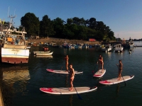 SUP Golfe du Morbihan 56_5