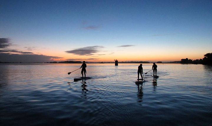 Club paddle Avel Pad