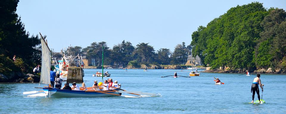 Randonnée SUP Golfe du Morbihan 6
